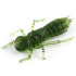 Силикон FishUp Dragonfly (042 - Watermelon Seed)